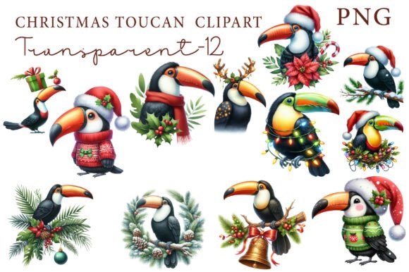 Review: Christmas Toucan Clipart for Embroidery