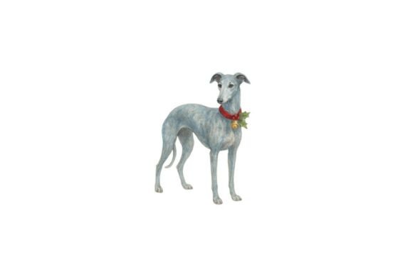 Reviewing Christmas Greyhound PNG Illustrations